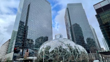 amazon spheres