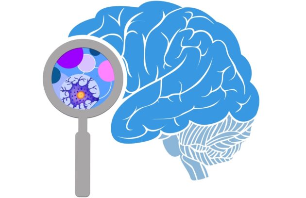 Brain graphic with magnifying glass