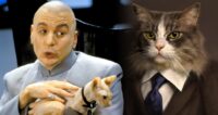 Dr. Evil, Mr. Bigglesworth and "Starter Villain" cat